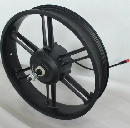20 Inch 750Watt hub motor