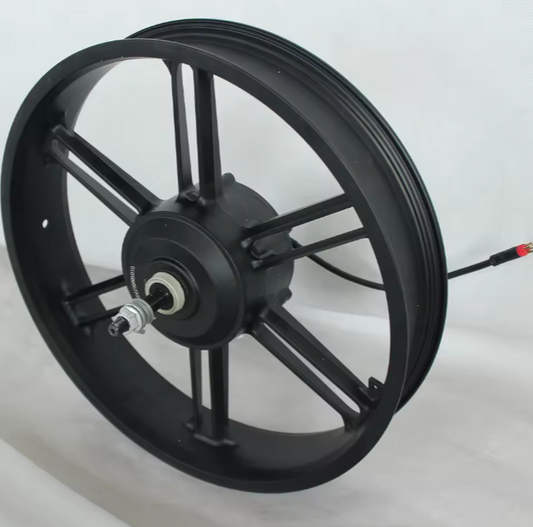 20 Inch 750Watt hub motor