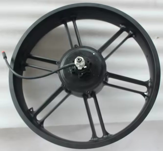 20 Inch 750Watt hub motor
