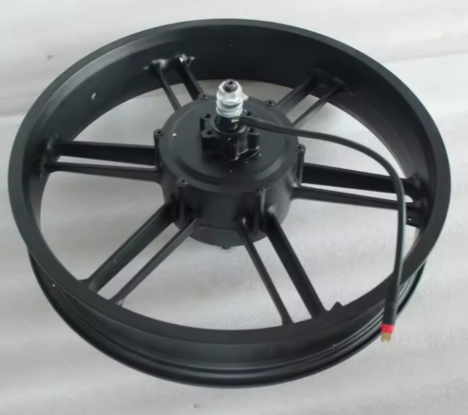 20 Inch 750Watt hub motor
