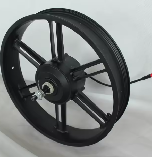 20 Inch 750Watt hub motor
