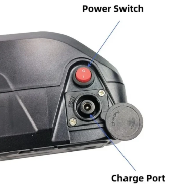 48V 15Ah battery pack for V8